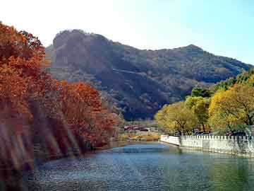 管家婆黑白马报图库，惠州流水线